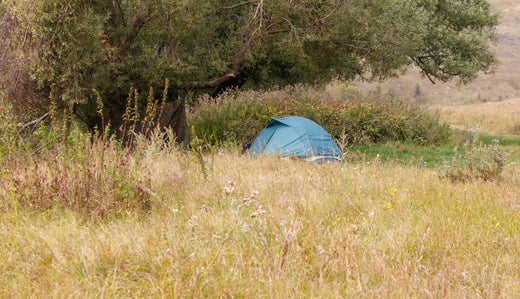 dispersed camping